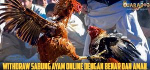 Withdraw Sabung Ayam Online Dengan Benar Dan Aman